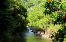 Borneo laksado river 