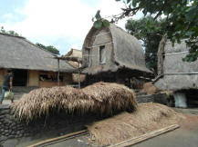 The traditional house 